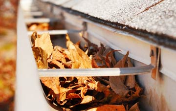 High Dubmire gutter cleaning companies