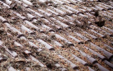 High Dubmire roof cleaning companies