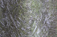 High Dubmire fibreglass roof work